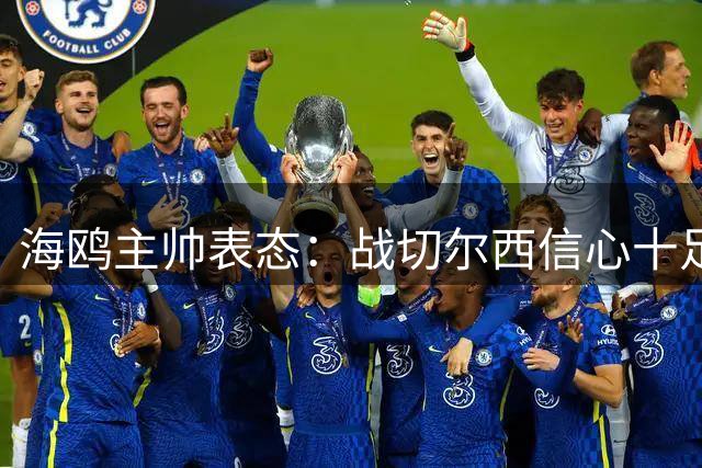 海鸥主帅表态：战切尔西信心十足，誓言争取胜利
